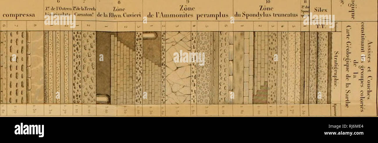 . ©chinides©partement du D de la Sarthe. H'- î.. DcpÃ'l, di' ri-atiîi- I d'UtilÂ"' ! Il ralorir Ofbiviiv Vvoity* '*- tli dans Arrlnii^ M.cl'il' .iiéii'i''ii'Â"' 3 = = = = J', 5 § = s. s ?  1 â€" > ; "g S = 1 ; ; ; ^ ^-3' a. I - = s * 3 ^ ^^ ^ â ¢ * ^ î 5 . = F J = 1 I î mu HN 5 I - J'§ î I 'â ¢ â ¢ 5 j !â â -^ ? 5i > ; I S I* s'ii s y , 4¯ à 150 î "5 ?â I S I I I ? ^4 5. Â" n I 5 ? î II i i i s-§ à S 5 : ï" 5- "si 3 2°' I r f ri r ? I F I S- > ; 5 ^ J ! J'ai ^ J s 5. 5. * ¢ ^ j i t i $> ; je ? I f s e r ; i ! R i f 3' I. f ? ¯ à ! S ; â s. J'^ ; 5 ?  ¢ K ; ,| ^â Banque D'Images