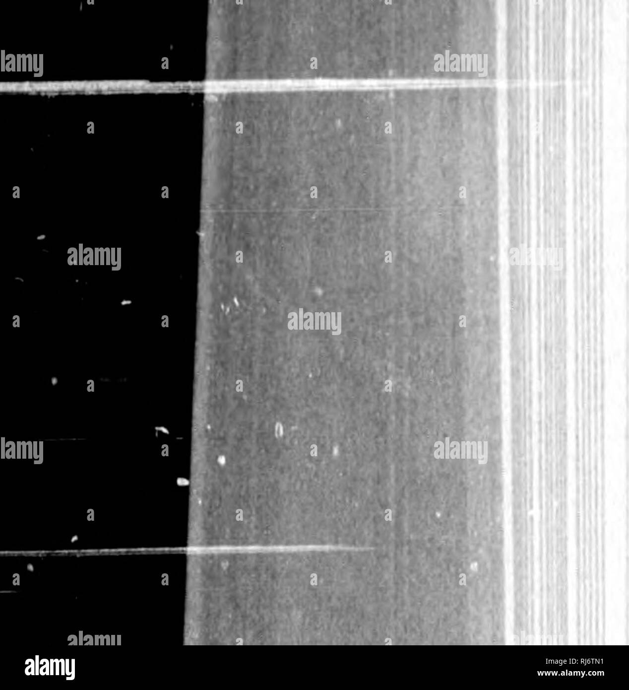 . L'histoire de la terre et l'homme [microform]. La géologie, la paléontologie, l'homme ; Géologie ; paléontologie ; Homme. 3G8 L'HISTOIRE OP LA TERRE ET LUI. ing eux-mêmes à de nouvelles conditions tlian beaucoup d'autres mammifères moins ressemblant à l'homme en forme de l'assurance-emploi ernal. Sur la théorie darwinienne, comme les hommes primitifs que la géologie révèle à nous seraient plus susceptibles d'être née de la porte de singes, et nous serions tentés de vouloir que l'homme doit disparaître, et que la chance devrait être donnée à la légère chim- panzee ou orang pour produire une amélioration par la sélection naturelle et moins féroces l'humanité pour l'avenir. La seule Banque D'Images
