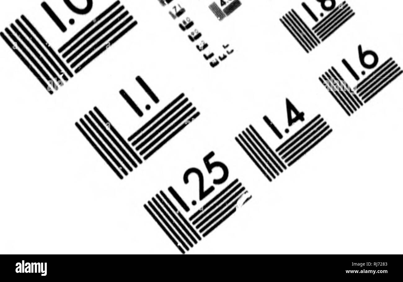 . Examen des oiseaux de l'Amérique dans le Musée de l'Instution Smithsonian. [Microform]. Les oiseaux sauvages, oiseaux.^^ s nb... ^T.&lt;b.. TEST D'ÉVALUATION D'IMAGE CIBLE (MT-3) V '^ ^ ^ tr. /. "Q. c.. 1.0 1.1 1.25 u. |a2 2.2 U Néant 1.6 ^ va m yw &Lt ; p. 100. Veuillez noter que ces images sont extraites de la page numérisée des images qui peuvent avoir été retouchées numériquement pour plus de lisibilité - coloration et l'aspect de ces illustrations ne peut pas parfaitement ressembler à l'œuvre originale.. Baird, Spencer F. , 1823-1887. Washington : l'Institution Banque D'Images