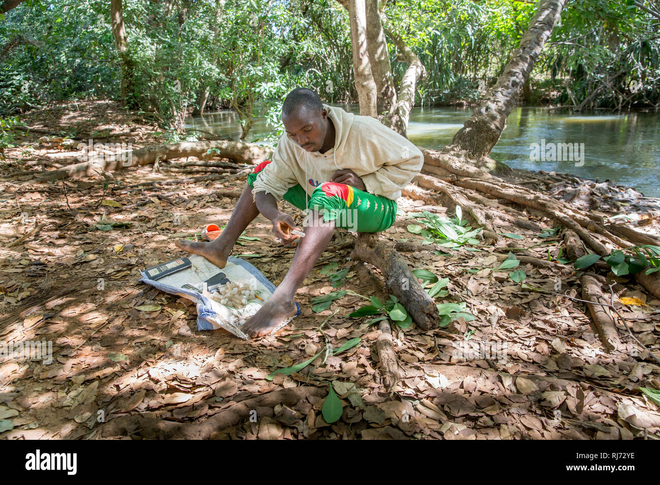 Village de Bodadiougou, district de Toumousseni, Banfora, région des Cascades, Burkina Faso, 4 décembre 2016; Yacouba Siri, cacheuse volontaire de mouche noire à la rivière Comoe à circulation rapide où la mouche noire qui porte le parasite de l'Onchosirciase comme se reproduire. Banque D'Images