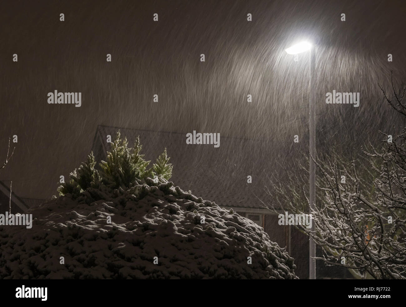 Chute de neige par un lampadaire la nuit. Les effets de flou d'obturation lente de il neige dans l'obscurité. Banque D'Images