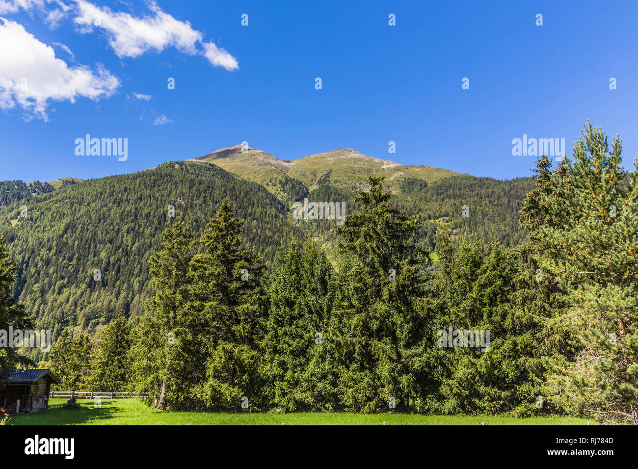 L'Inntal, Schweizer Nationalpark, Engadine, Canton des Grisons, Suisse Banque D'Images