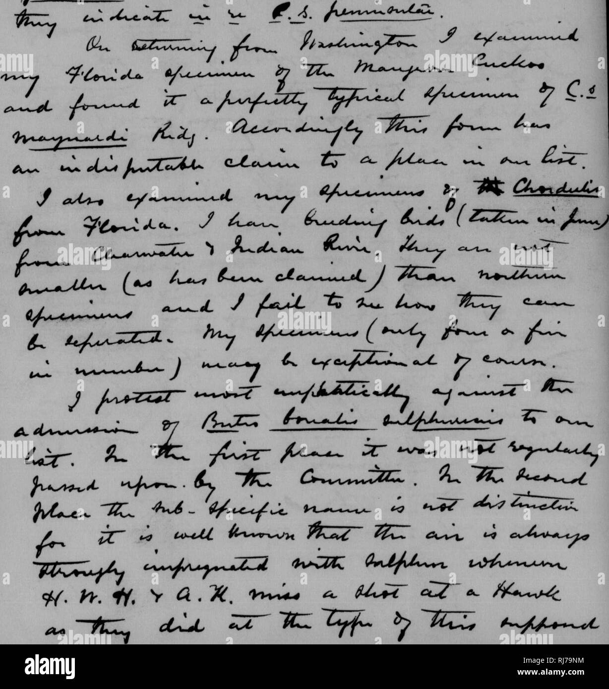 . C. Hart Merriam papers : y compris la correspondance, les documents se rapportant à l'orientation avec les États-Unis Biological Survey, 1798-1972 (en gros 1871-1942). United States. Division de l'ornithologie et mammalogie ; United States. Division de l'enquête biologique ; United States. Commission biologique ; United States. Bureau de la Commission biologique ; l'Enquête géologique et géographique des territoires (U. S. ) ; l'expédition Harriman en Alaska (1899) ; mer de Béring controverse ; les ours ; Biogéographie ; histoire naturelle ; ornithologie ; botanique ; zones de vie ; la conservation de la faune. o ^ ^2-c-^-"-''6-v-^^ ^^^^ - Q. ^^ Un. JbuiAy^ /J'tXA/S Banque D'Images