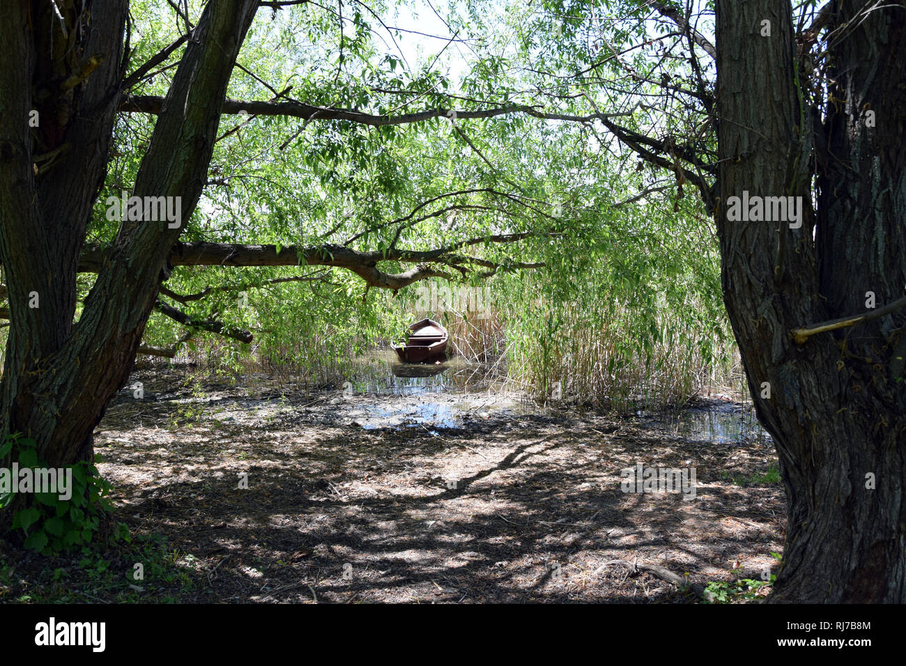 Ancien petit bateau amarré dans le lac d'Ohrid. Ohrid, Macédoine. Banque D'Images