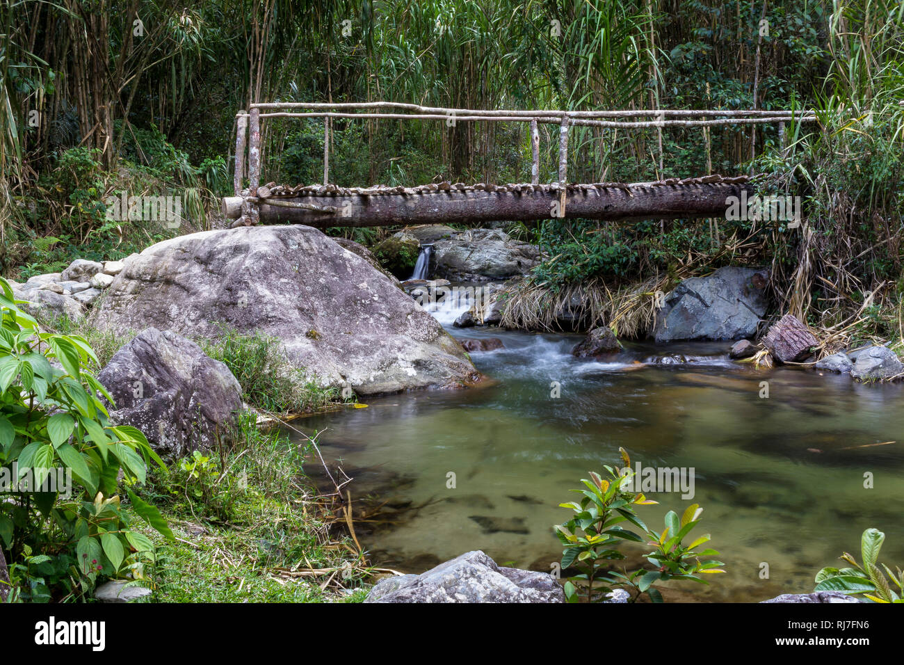 Große Antillen, Karibik Dominikanische Republik, Zentralkordillere,, Holzbrücke über Fluss im Wald Banque D'Images