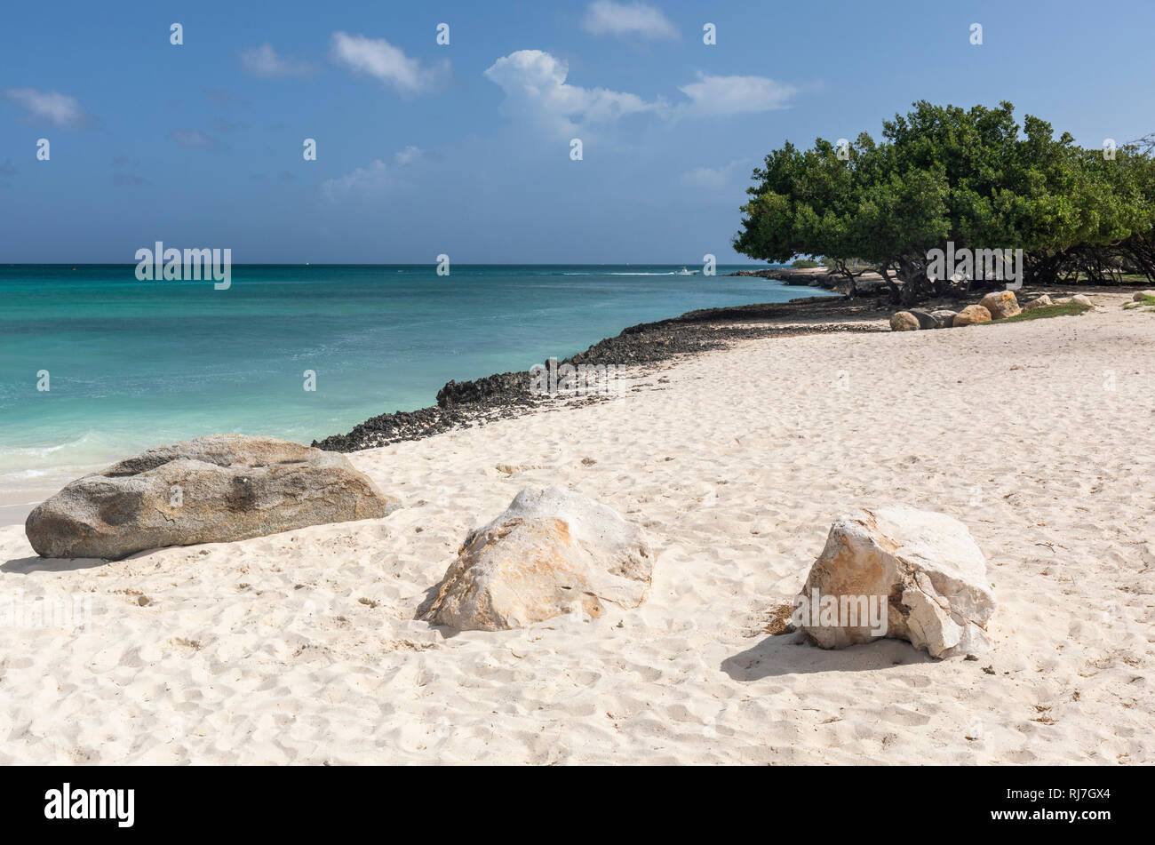 Eagle Beach, Aruba, Antilles. Banque D'Images