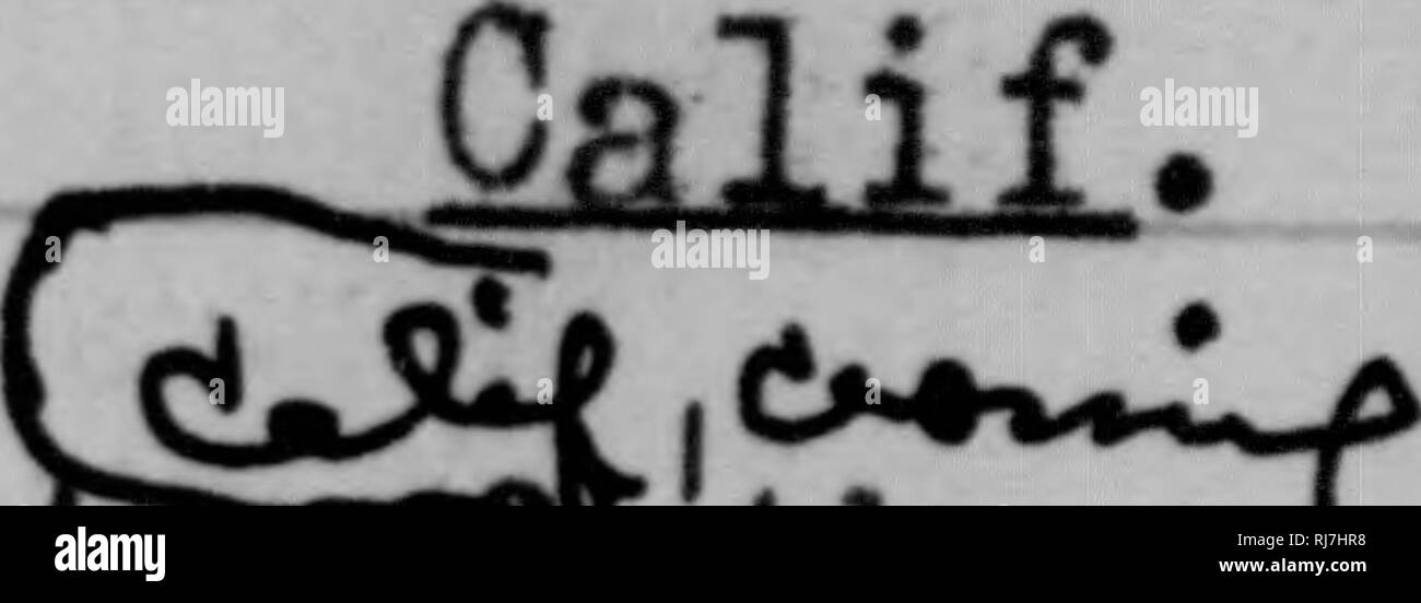 . C. Hart Merriam papers : y compris la correspondance, les documents se rapportant à l'orientation avec les États-Unis Biological Survey, 1798-1972 (en gros 1871-1942). United States. Division de l'ornithologie et mammalogie ; United States. Division de l'enquête biologique ; United States. Commission biologique ; United States. Bureau de la Commission biologique ; l'Enquête géologique et géographique des territoires (U. S. ) ; l'expédition Harriman en Alaska (1899) ; mer de Béring controverse ; les ours ; Biogéographie ; histoire naturelle ; ornithologie ; botanique ; zones de vie ; la conservation de la faune. m0mmmm0m [Tia Juana]. &Gt;r5^^ : : iJ5^l4est ®^^^6*® southwe Banque D'Images