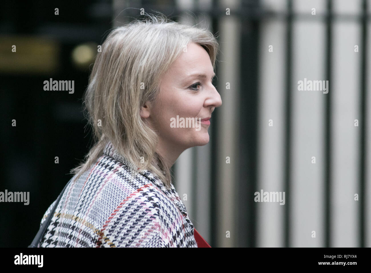 London UK. 5 février 2019. Elizabeth Truss, député, secrétaire en chef au Trésor t arrivesa Downing Street ofr la réunion hebdomadaire du cabinet Crédit : amer ghazzal/Alamy Live News Banque D'Images