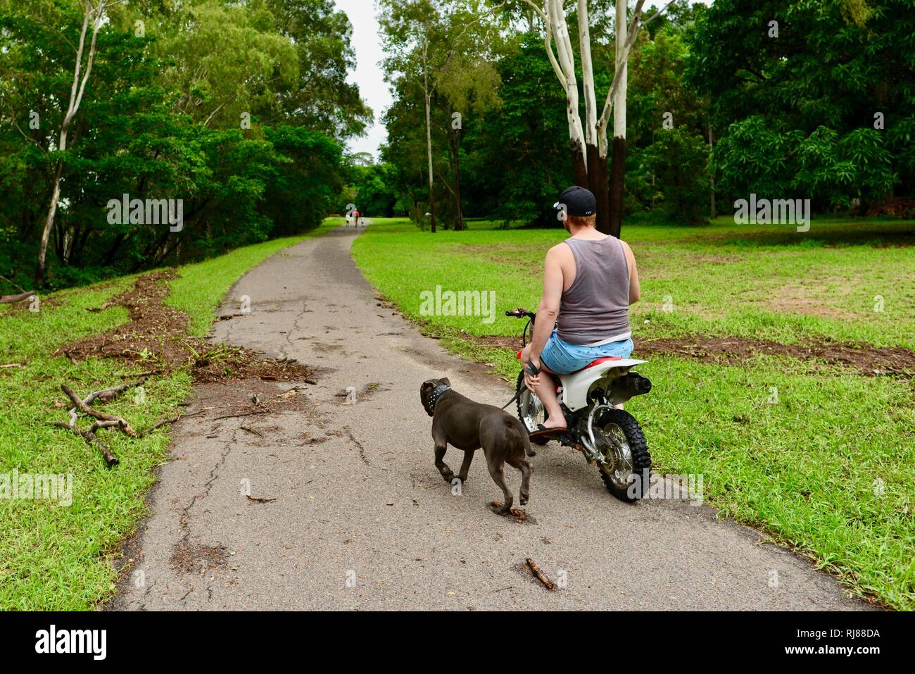 Un homme conduit une petite moto en marchant un chien, Townsville, Queensland, Australie. 5 Février, 2019. L'inondation a continué de s'aggraver à mesure que le déluge a continué et plus d'eau a été libéré de l'enflement du barrage de la rivière Ross pour empêcher l'échec de la mur de barrage. Les résidents d'évaluer les conséquences de la destruction alors que l'armée de terre et d'autres services d'urgence patrouillent les rues Crédit : P&F Photography/Alamy Live News Banque D'Images