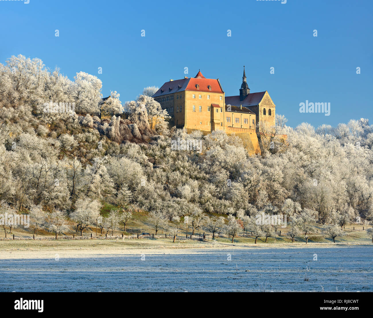 Deutschland, Sachsen-Anhalt, Burgenlandkreis, Goseck, Saaletal Goseck, Schloss im Winter, Bäume mit Raureif bedeckt Banque D'Images