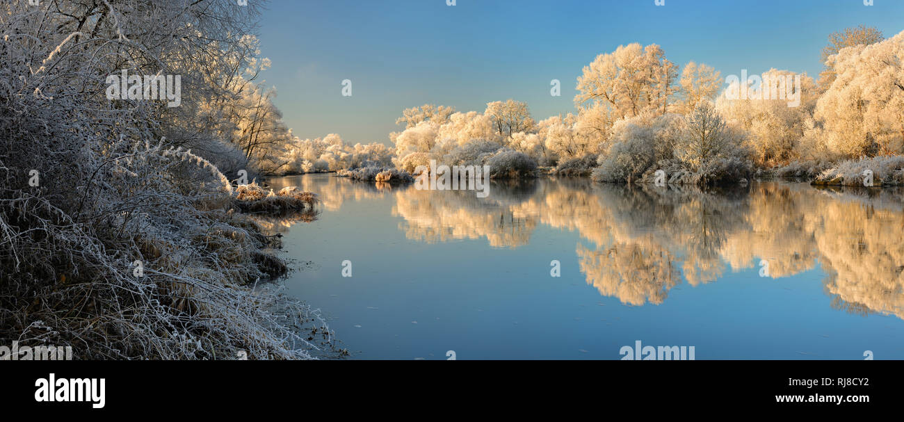 Deutschland, Hessen, bei Bad Wildungen, Fluss Eder, hiver, Bäume mit Raureif bedeckt, Spiegelung Banque D'Images