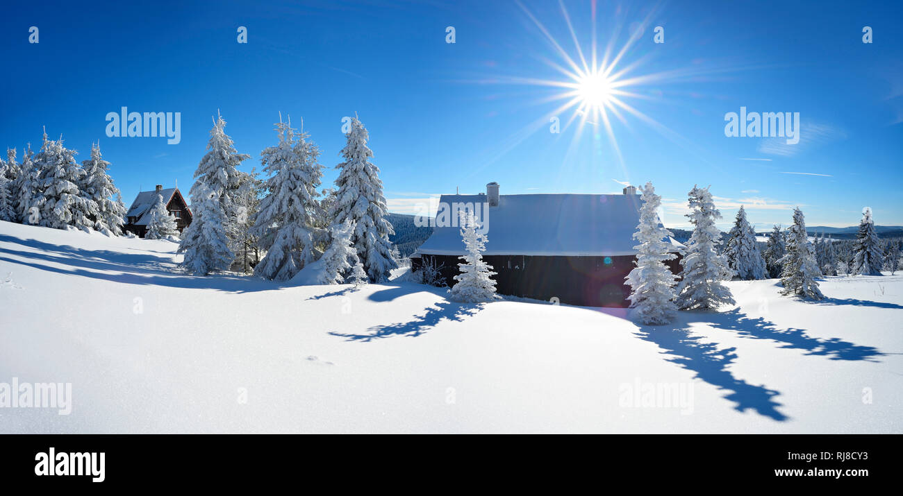 Deutschland, Sachsen, Erzgebirge, Oberwiesenthal, hiver am Fichtelberg, Typische Berghütten, Gegenlicht, strahlende Sonne, Fichten mit Schnee bedeckt Banque D'Images