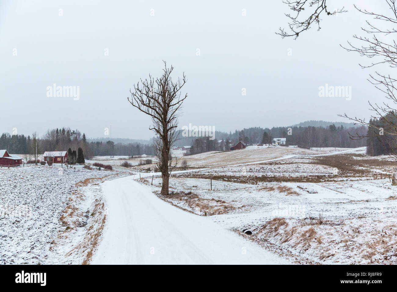 Suède, Dalsland, typische Landschaft mit Straße im Winter Banque D'Images