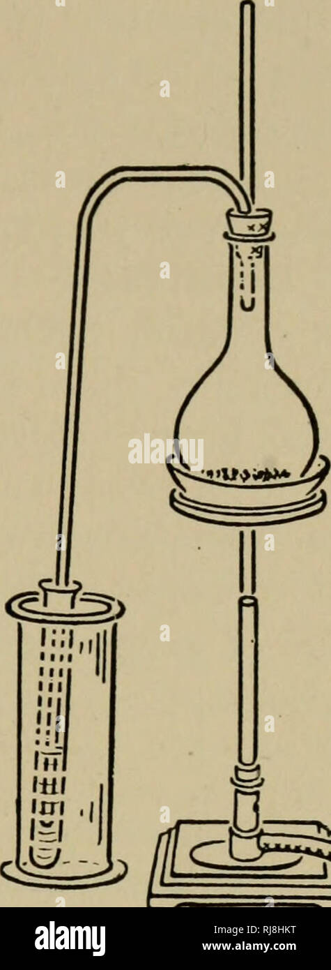 . La chimie de la vie végétale et animale. La chimie agricole. L'ACIDE NITRIQUE ET DE COMPOSÉS DE L'azote 83 le cylindre. Le tube doit passer dans et près de la partie inférieure d'un tube à essai qui est immergé dans l'eau froide dans la cylin- der. Mettre 15 cc. de l'acide sulfurique concentré (H2SO4) et 10 grammes de nitrate de sodium (NaN3) ou le nitrate de potassium (KN03) dans le flacon et appliquer la chaleur jusqu'à environ 4 ou 5 cc. de la NH03 sont distillées et recueillies dans le tube à essai. Ne pas retirer la flamme à moins que la fin de la prestation tube est au-dessus du liquide dans le tube à essai, sinon le liquide sera le dr Banque D'Images