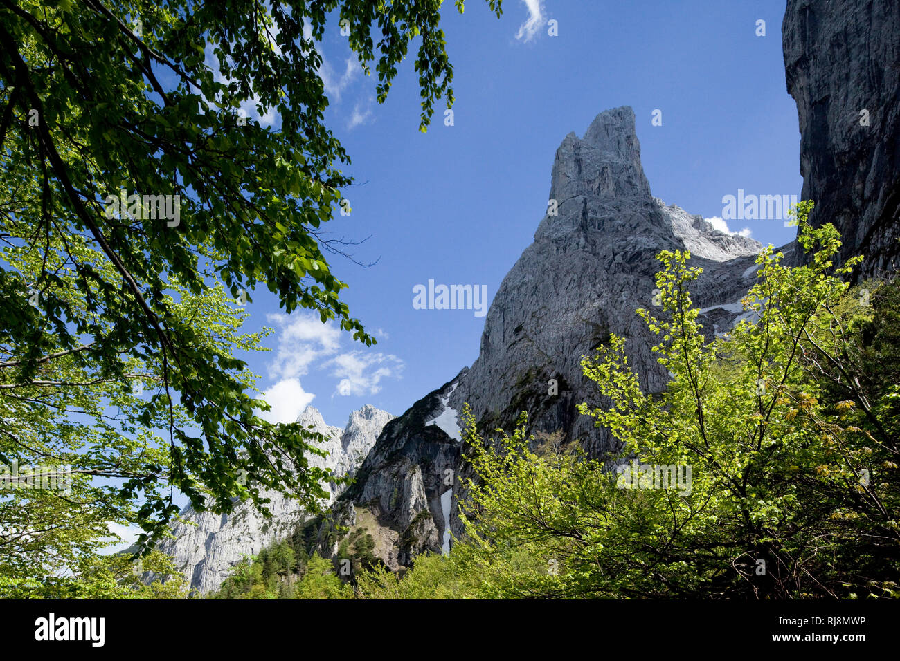 Blick auf und Predigstuhl Steinerne Rinne von Norden, Wilder Kaiser, Tirol, Österreich Banque D'Images