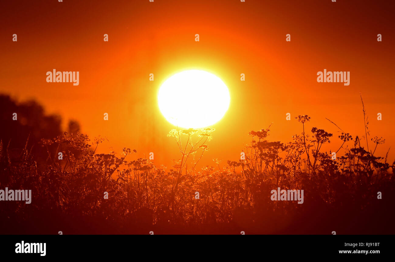 Superbe lever du soleil comme la canicule temps persiste près de Formby, Liverpool. Samedi 30 juin 2018. Banque D'Images