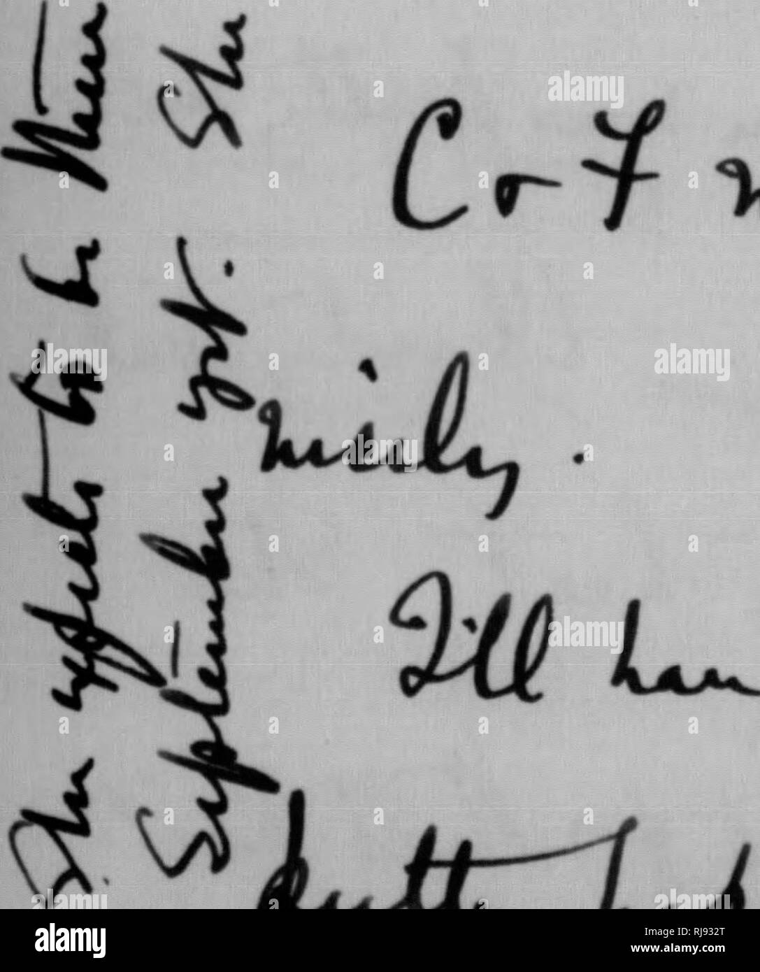 . C. Hart Merriam papers : y compris la correspondance, les documents se rapportant à l'orientation avec les États-Unis Biological Survey, 1798-1972 (en gros 1871-1942). United States. Division de l'ornithologie et mammalogie ; United States. Division de l'enquête biologique ; United States. Commission biologique ; United States. Bureau de la Commission biologique ; l'Enquête géologique et géographique des territoires (U. S. ) ; l'expédition Harriman en Alaska (1899) ; mer de Béring controverse ; les ours ; Biogéographie ; histoire naturelle ; ornithologie ; botanique ; zones de vie ; la conservation de la faune. ^ ^^ GJUJl.'kL., ^^^^^A. LAcc 10 . Bonjour^^^( c t u^^^Li jh Banque D'Images