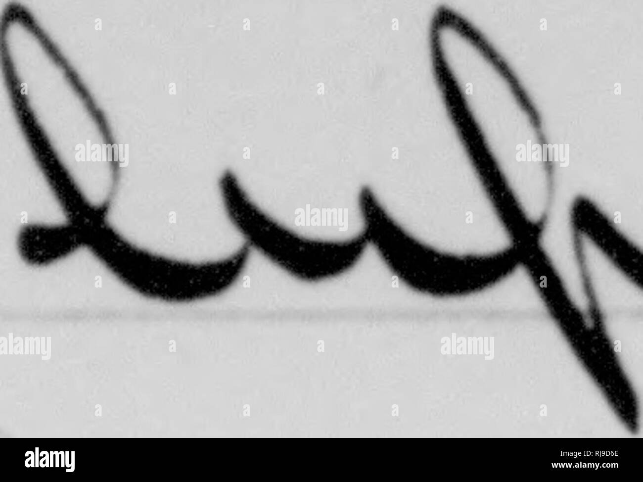 . C. Hart Merriam papers : y compris la correspondance, les documents se rapportant à l'orientation avec les États-Unis Biological Survey, 1798-1972 (en gros 1871-1942). United States. Division de l'ornithologie et mammalogie ; United States. Division de l'enquête biologique ; United States. Commission biologique ; United States. Bureau de la Commission biologique ; l'Enquête géologique et géographique des territoires (U. S. ) ; l'expédition Harriman en Alaska (1899) ; mer de Béring controverse ; les ours ; Biogéographie ; histoire naturelle ; ornithologie ; botanique ; zones de vie ; la conservation de la faune. ev ^^XXrV,g,5^. ^^^^*"^^un"i" o Q 00 ^^.^0 s rA 11 Banque D'Images