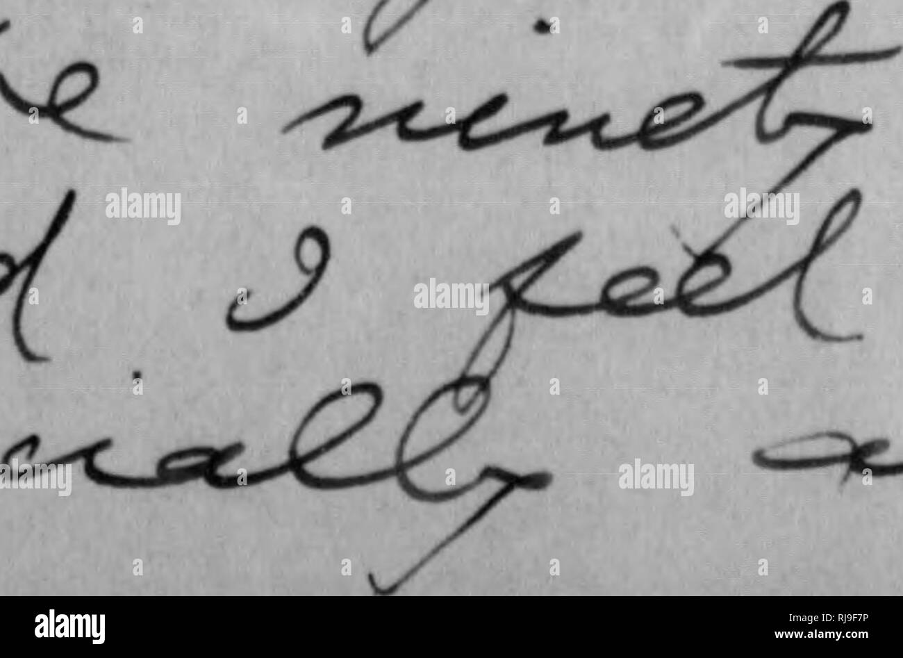 . C. Hart Merriam papers : y compris la correspondance, les documents se rapportant à l'orientation avec les États-Unis Biological Survey, 1798-1972 (en gros 1871-1942). United States. Division de l'ornithologie et mammalogie ; United States. Division de l'enquête biologique ; United States. Commission biologique ; United States. Bureau de la Commission biologique ; l'Enquête géologique et géographique des territoires (U. S. ) ; l'expédition Harriman en Alaska (1899) ; mer de Béring controverse ; les ours ; Biogéographie ; histoire naturelle ; ornithologie ; botanique ; zones de vie ; la conservation de la faune. "3Cl X"^ ''2'"x"-^v^^^ /^^^ ^^^t :^^^ ^-^^^^ . /z -6 =^^.. Banque D'Images