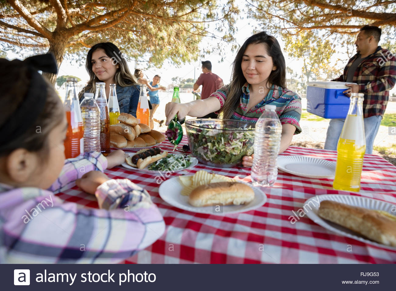 Latinx family enjoying barbecue in park Banque D'Images