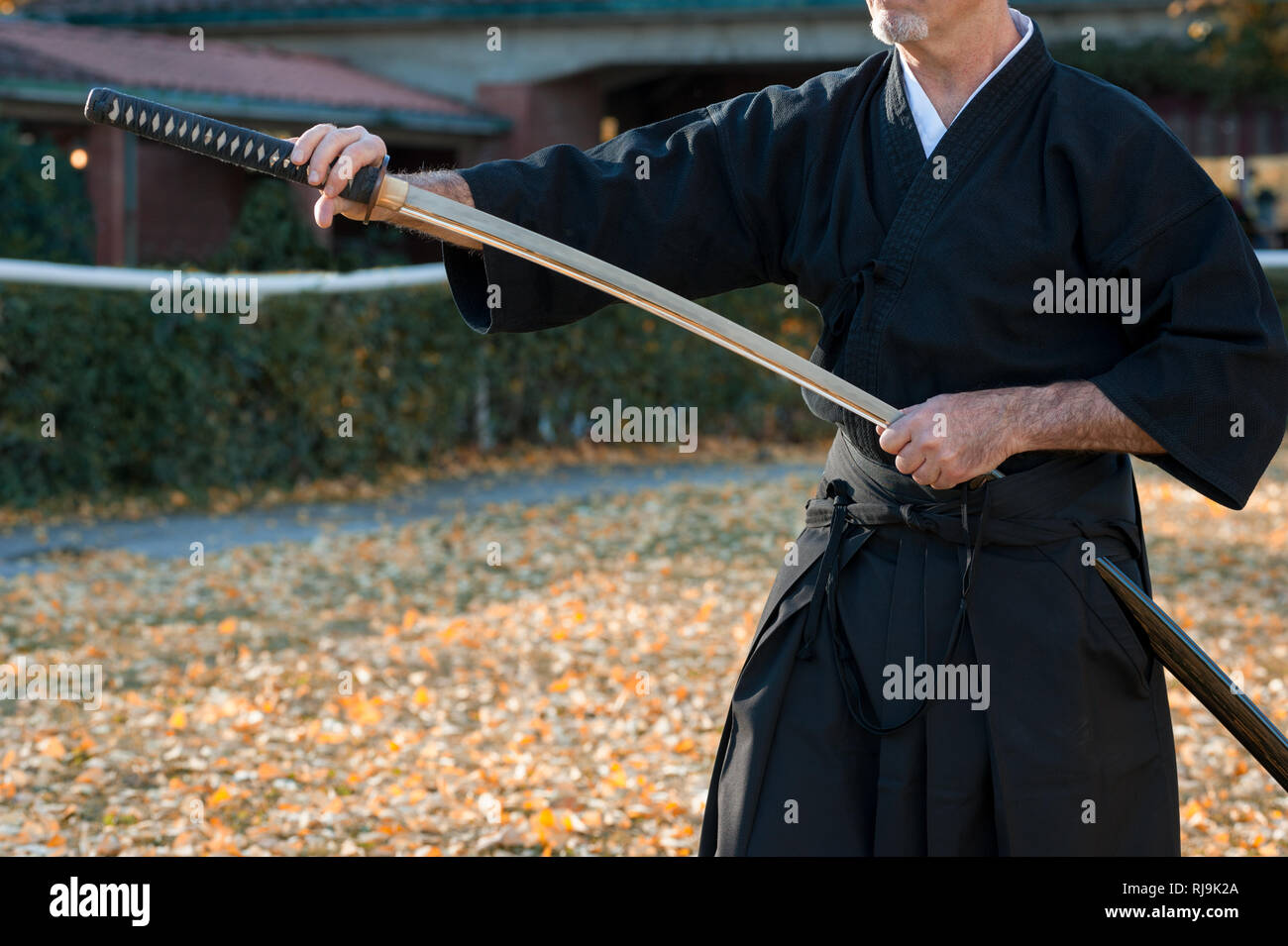 Iaido Banque de photographies et d’images à haute résolution Alamy