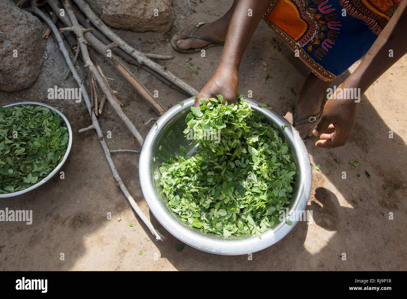 Village Kisambo, Yako, Burkina Faso, le 28 novembre 2016 ; Ouedraogo, Miriam, préparer un repas pour 10 feuilles de moringa, comprend juste pris du village jardin comme ingrédient principal. Banque D'Images