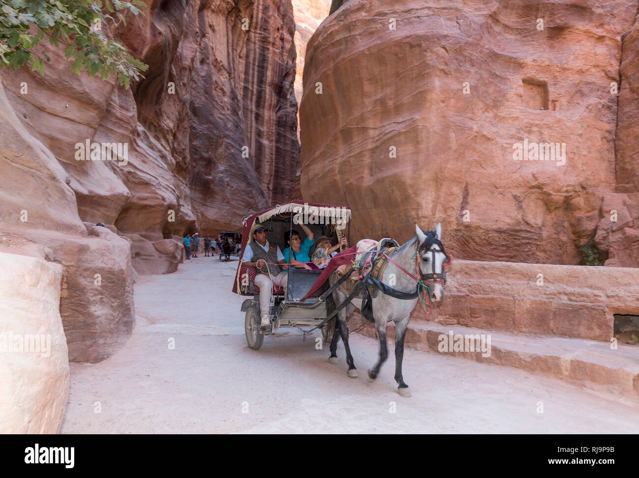 Pferdekutsche, der Sik, le siq, Felsschlucht, Petra, Wadi Musa, Nabatäer Hauptstadt, UNESCO Weltkulturerbe, Asien, Bosnien und her ... Banque D'Images