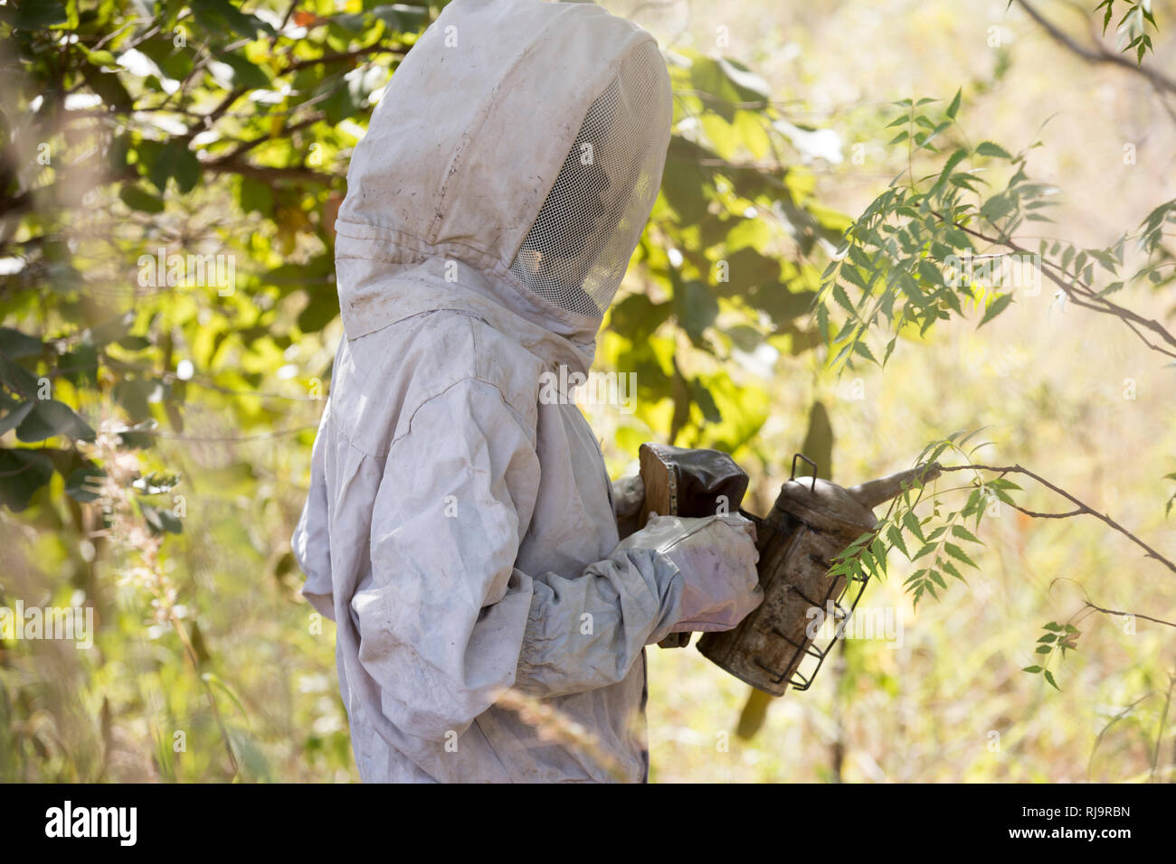 Village de Bissiga, Yako, Burkina Faso, le 29 novembre 2016 ; membre de la Women's Forest Livlihood projet, se prépare à collecter le miel provenant d'un des 10 ruches. Banque D'Images