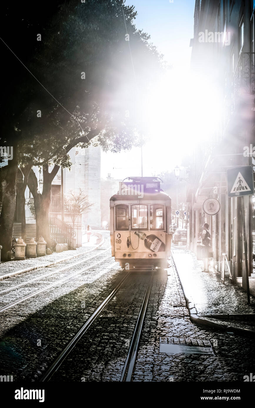 Europa, Portugal, Lisboa, Transports, Tram, Trambahn, Straßenbahn Banque D'Images