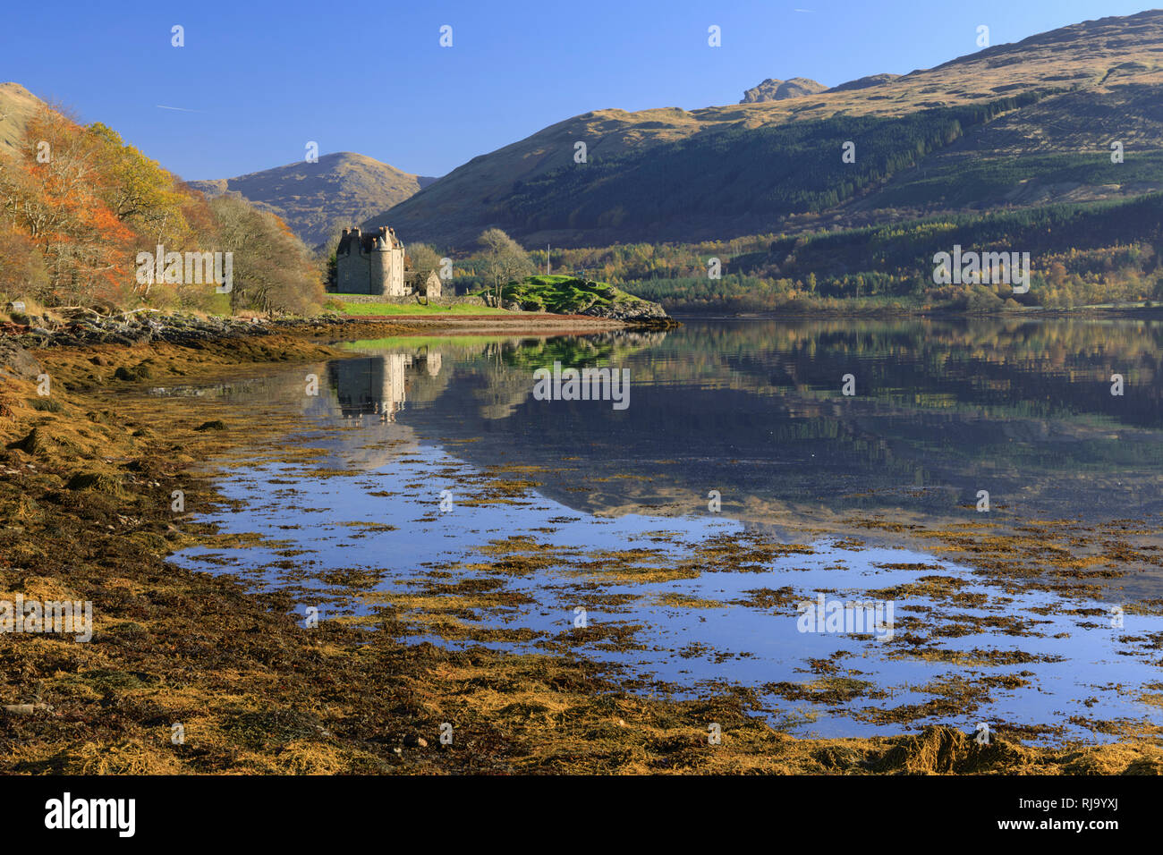 Dunderave château sur le Loch Fyne. Banque D'Images