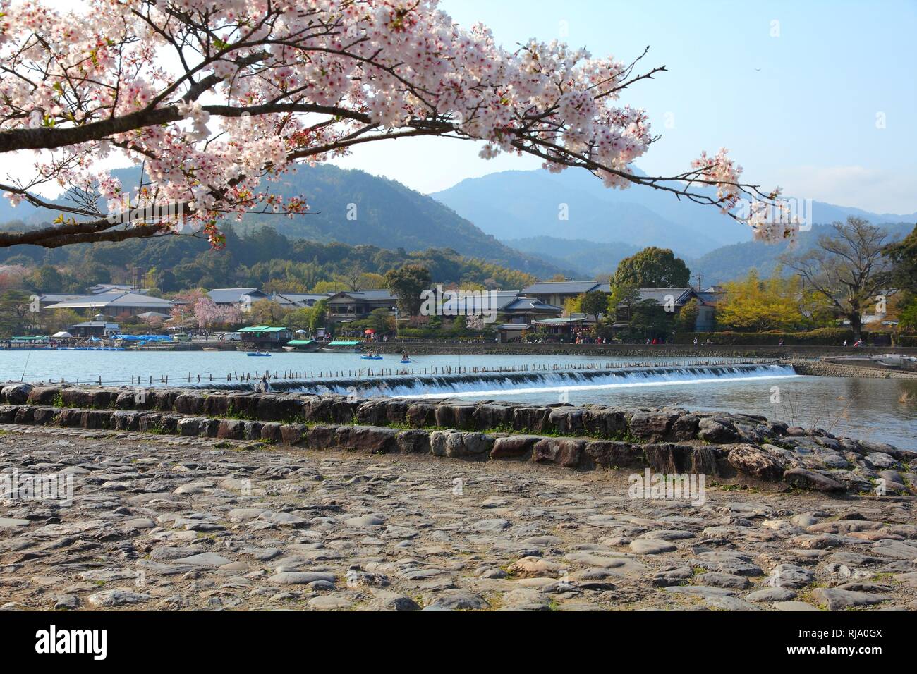 Cherry Blossom et Oi dans la rivière de Arashiyama, Kyoto, Japon. Vue japonais. Banque D'Images