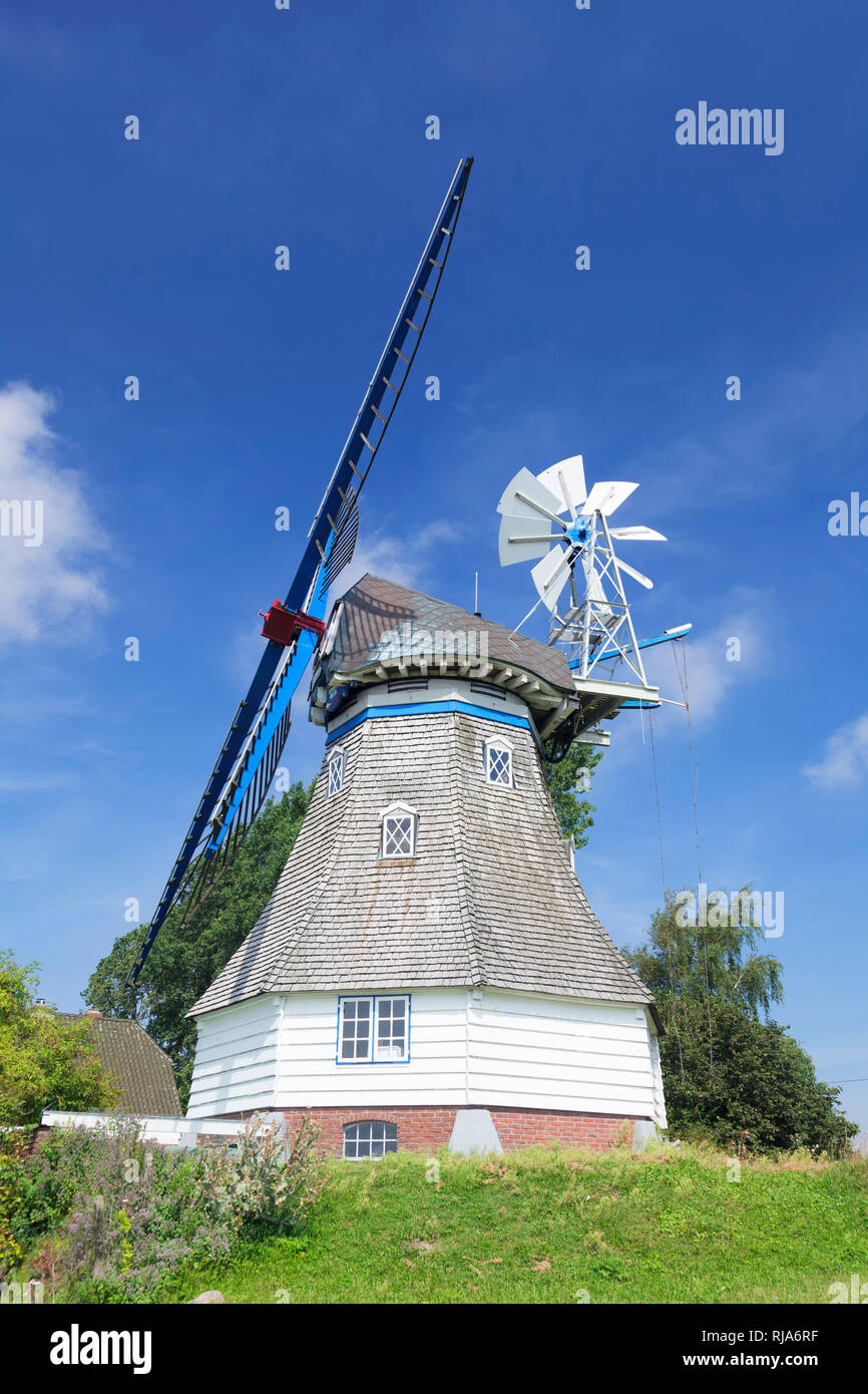 Windmühle Immanuel, Typ, Bergholländer Kronprinzenkoog, Dithmarschen, Schleswig Holstein, Deutschland Banque D'Images