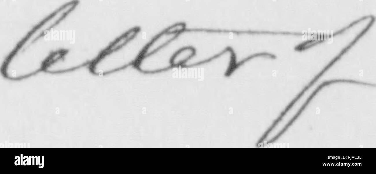 . C. Hart Merriam papers : y compris la correspondance, les documents se rapportant à l'orientation avec les États-Unis Biological Survey, 1798-1972 (en gros 1871-1942). United States. Division de l'ornithologie et mammalogie ; United States. Division de l'enquête biologique ; United States. Commission biologique ; United States. Bureau de la Commission biologique ; l'Enquête géologique et géographique des territoires (U. S. ) ; l'expédition Harriman en Alaska (1899) ; mer de Béring controverse ; les ours ; Biogéographie ; histoire naturelle ; ornithologie ; botanique ; zones de vie ; la conservation de la faune. Le Pingouin^^Éditeur-s Office^ American Museum of Natural Sa Banque D'Images