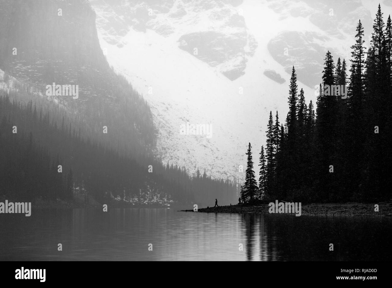 Exploration du lac Moraine, image en noir et blanc de la rive bordée d'arbres Banque D'Images