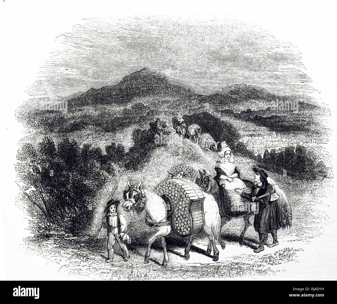 Une gravure illustrant les bûcherons en Normandie transportant leur carburant en crooks sur chevaux. En date du 19e siècle Banque D'Images