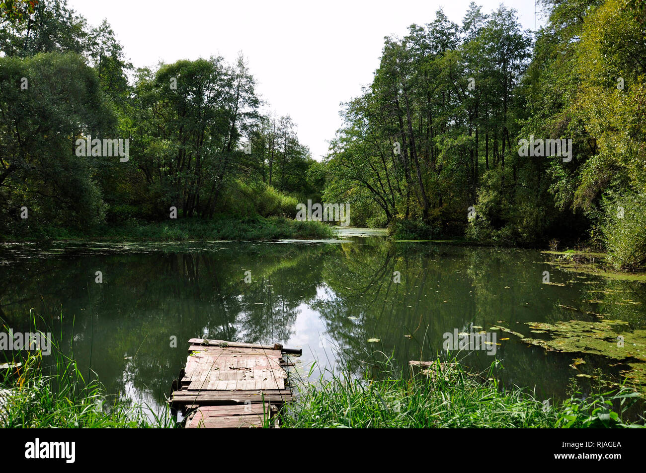 Plate-forme en bois pour la pêche sur la rivière en été. Reflet des arbres et du ciel dans l'eau. Banque D'Images