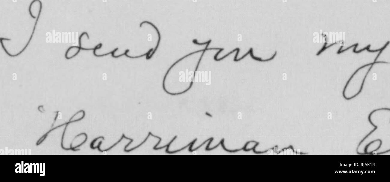 . C. Hart Merriam papers : y compris la correspondance, les documents se rapportant à l'orientation avec les États-Unis Biological Survey, 1798-1972 (en gros 1871-1942). United States. Division de l'ornithologie et mammalogie ; United States. Division de l'enquête biologique ; United States. Commission biologique ; United States. Bureau de la Commission biologique ; l'Enquête géologique et géographique des territoires (U. S. ) ; l'expédition Harriman en Alaska (1899) ; mer de Béring controverse ; les ours ; Biogéographie ; histoire naturelle ; ornithologie ; botanique ; zones de vie ; la conservation de la faune. SMITHSONIAN INSTITUTION UNITED STATES NATIONAL MUSEUM S. Banque D'Images