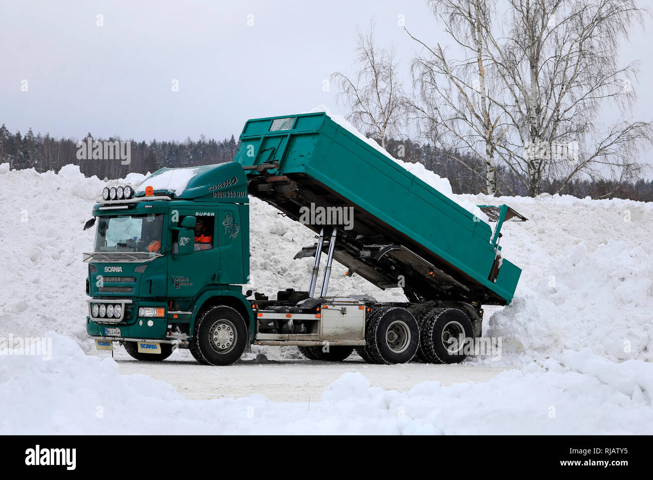 Salo, Finlande - le 2 février 2019 : Green Scania P420 camion benne décharger la neige provenant des rues et des stationnements municipaux de la zone de déversement de la neige. Banque D'Images