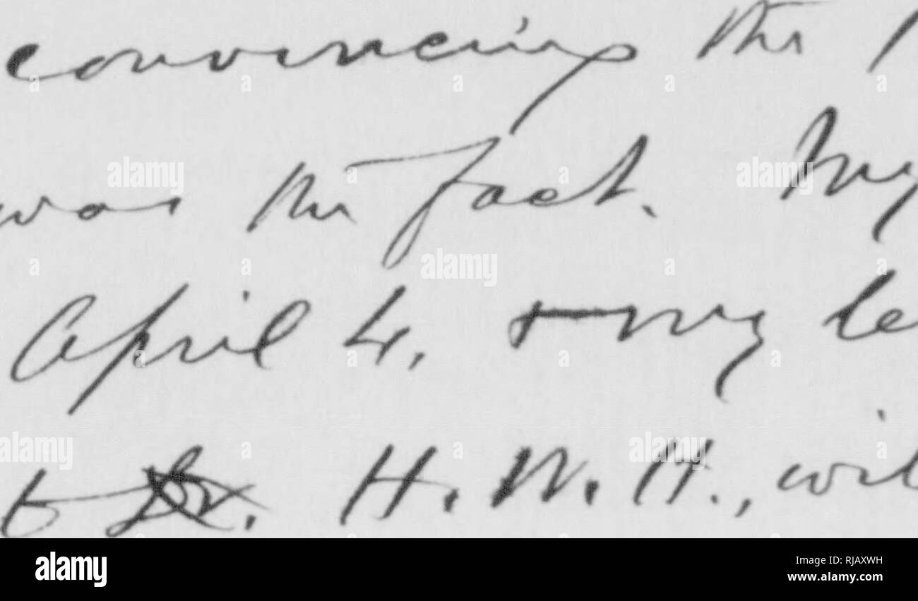 . C. Hart Merriam papers : y compris la correspondance, les documents se rapportant à l'orientation avec les États-Unis Biological Survey, 1798-1972 (en gros 1871-1942). United States. Division de l'ornithologie et mammalogie ; United States. Division de l'enquête biologique ; United States. Commission biologique ; United States. Bureau de la Commission biologique ; l'Enquête géologique et géographique des territoires (U. S. ) ; l'expédition Harriman en Alaska (1899) ; mer de Béring controverse ; les ours ; Biogéographie ; histoire naturelle ; ornithologie ; botanique ; zones de vie ; la conservation de la faune. OSSI 1/^^/ efL (.. I. ^^ ZJ, y f -/- txC-^^t*-C :^ ^ ^s f Banque D'Images