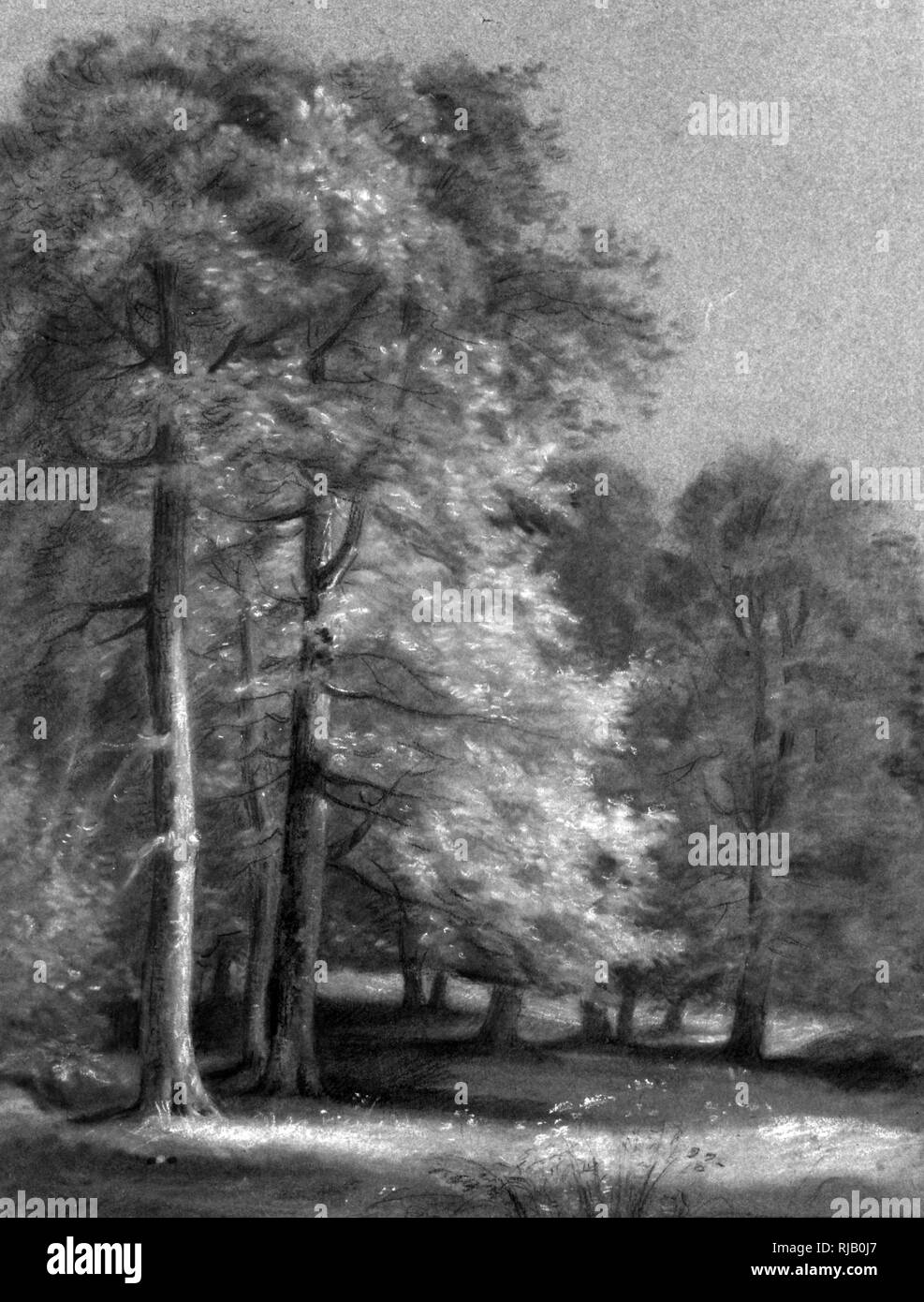Le Parc de la Malmaison, 1819, par Pierre-Paul Prud'hon (1758 - 1823), peintre romantique français. Noir et craie blanche sur papier bleu. Études de paysage sont assez rares dans l'oeuvre de Prud'hon. En dépeignant le site dépourvu de figures humaines, l'artiste a porté son attention sur le rendu minutieux des effets d'ombre et de lumière. Le réglage a été identifiée comme une vue sur le parc de la Malmaison, le site de l'Impératrice Joséphine Bonaparte's residence, à environ neuf kilomètres à l'ouest du centre de Paris Banque D'Images Le Parc de la Malmaison, 1819, par Pierre-Paul Prud'hon (1758 - 1823), peintre romantique français. Noir et craie blanche sur papier bleu. Études de paysage sont assez rares dans l'oeuvre de Prud'hon. En dépeignant le site dépourvu de figures humaines, l'artiste a porté son attention sur le rendu minutieux des effets d'ombre et de lumière. Le réglage a été identifiée comme une vue sur le parc de la Malmaison, le site de l'Impératrice Joséphine Bonaparte's residence, à environ neuf kilomètres à l'ouest du centre de Paris Banque D'Images