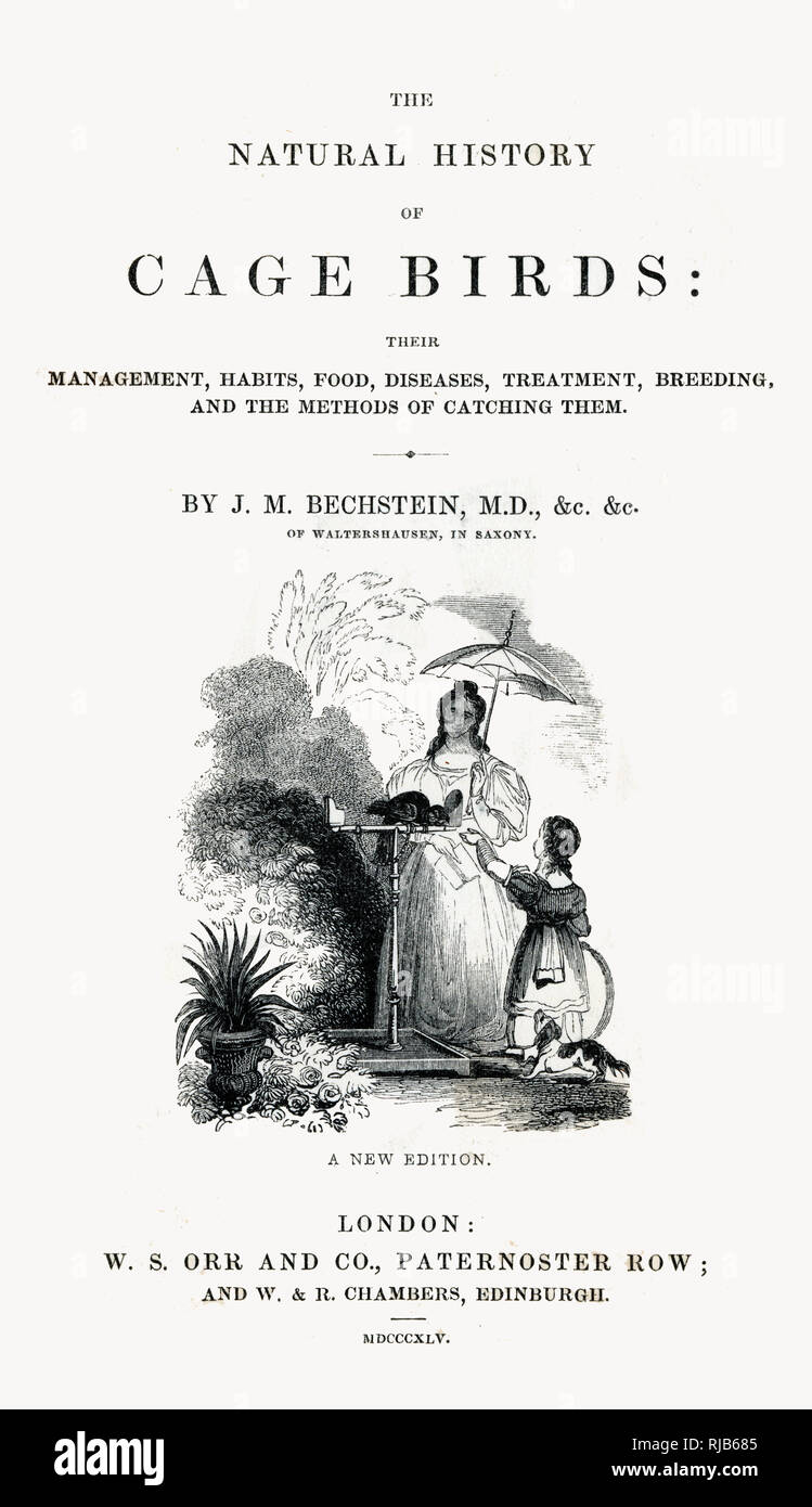 L'histoire naturelle des oiseaux de la cage - page de titre Banque D'Images