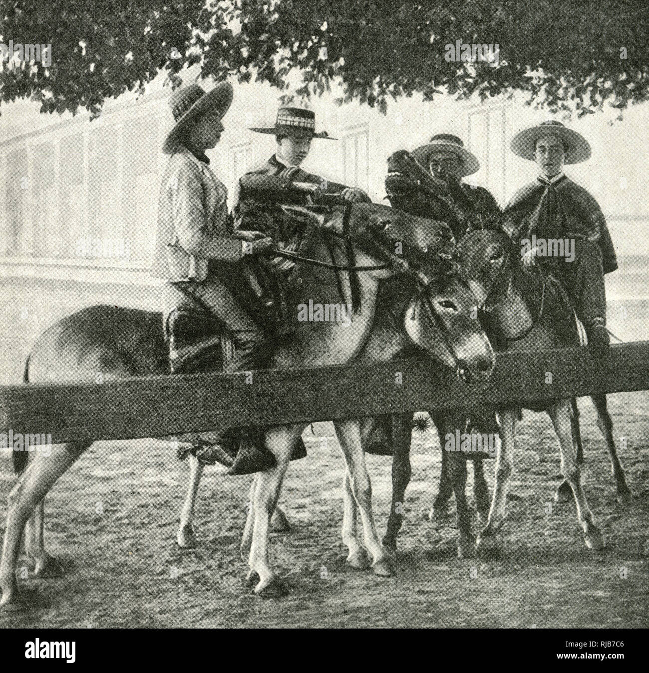 Quatre jeunes hommes sur mules, Chili, Amérique du Sud Banque D'Images