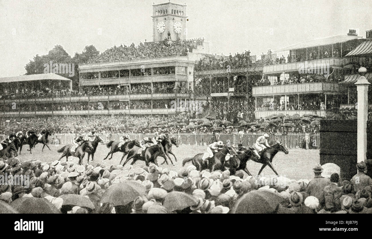 Fin de course, coupe Royale, champ de courses d'Ascot, Berkshire Banque D'Images