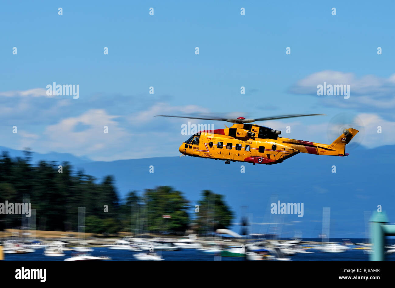 Agusta Westland CH-149 hélicoptère de recherche et de sauvetage Cormorant en vol au-dessus du port de Nanaimo Île de Vancouver Colombie-Britannique, Canada. Banque D'Images