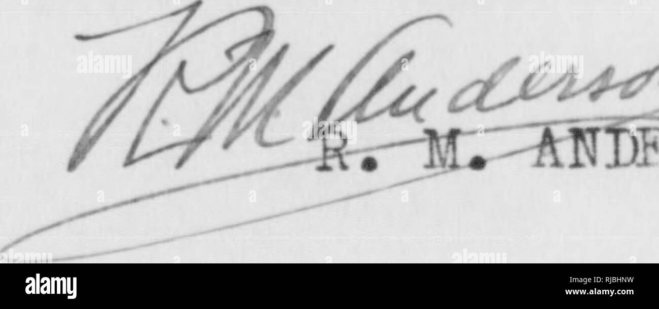 . C. Hart Merriam papers : y compris la correspondance, les documents se rapportant à l'orientation avec les États-Unis Biological Survey, 1798-1972 (en gros 1871-1942). United States. Division de l'ornithologie et mammalogie ; United States. Division de l'enquête biologique ; United States. Commission biologique ; United States. Bureau de la Commission biologique ; l'Enquête géologique et géographique des territoires (U. S. ) ; l'expédition Harriman en Alaska (1899) ; mer de Béring controverse ; les ours ; Biogéographie ; histoire naturelle ; ornithologie ; botanique ; zones de vie ; la conservation de la faune. Ottawa, Canada, le 22 novembre 1922, le Dr C. Hart Merriam 19 Banque D'Images