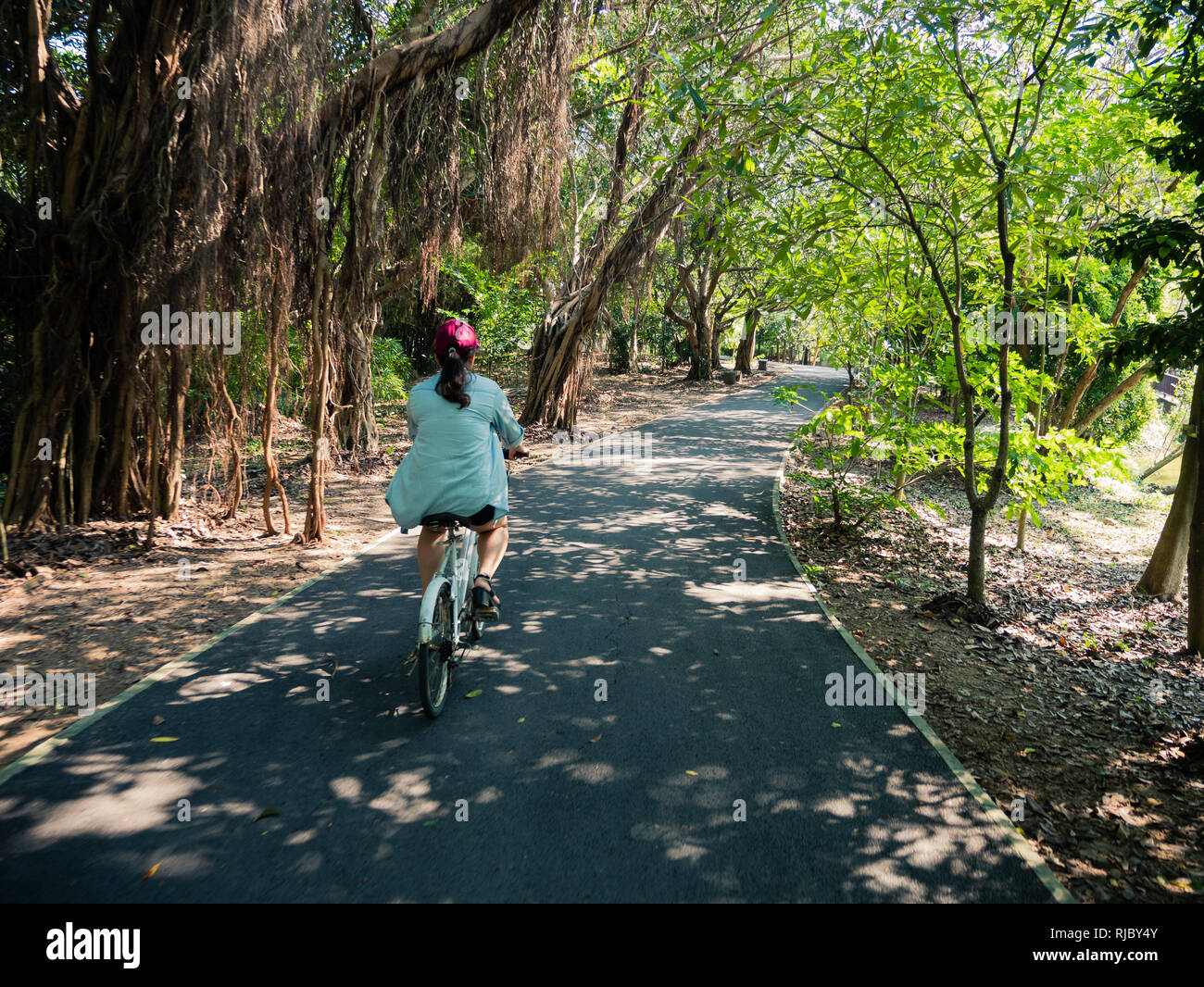 Cycliste sur vélo loué à Bang Krachao, Bangkok, Thaïlande Banque D'Images