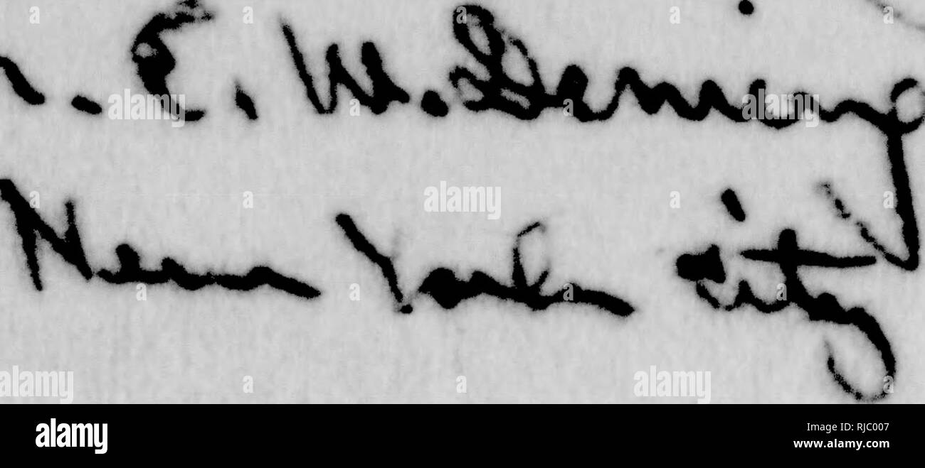 . C. Hart Merriam papers : y compris la correspondance, les documents se rapportant à l'orientation avec les États-Unis Biological Survey, 1798-1972 (en gros 1871-1942). United States. Division de l'ornithologie et mammalogie ; United States. Division de l'enquête biologique ; United States. Commission biologique ; United States. Bureau de la Commission biologique ; l'Enquête géologique et géographique des territoires (U. S. ) ; l'expédition Harriman en Alaska (1899) ; mer de Béring controverse ; les ours ; Biogéographie ; histoire naturelle ; ornithologie ; botanique ; zones de vie ; la conservation de la faune. j'^- re*K. 53 i,j"^ fc ? ^,. Veuillez noter que ces images Banque D'Images