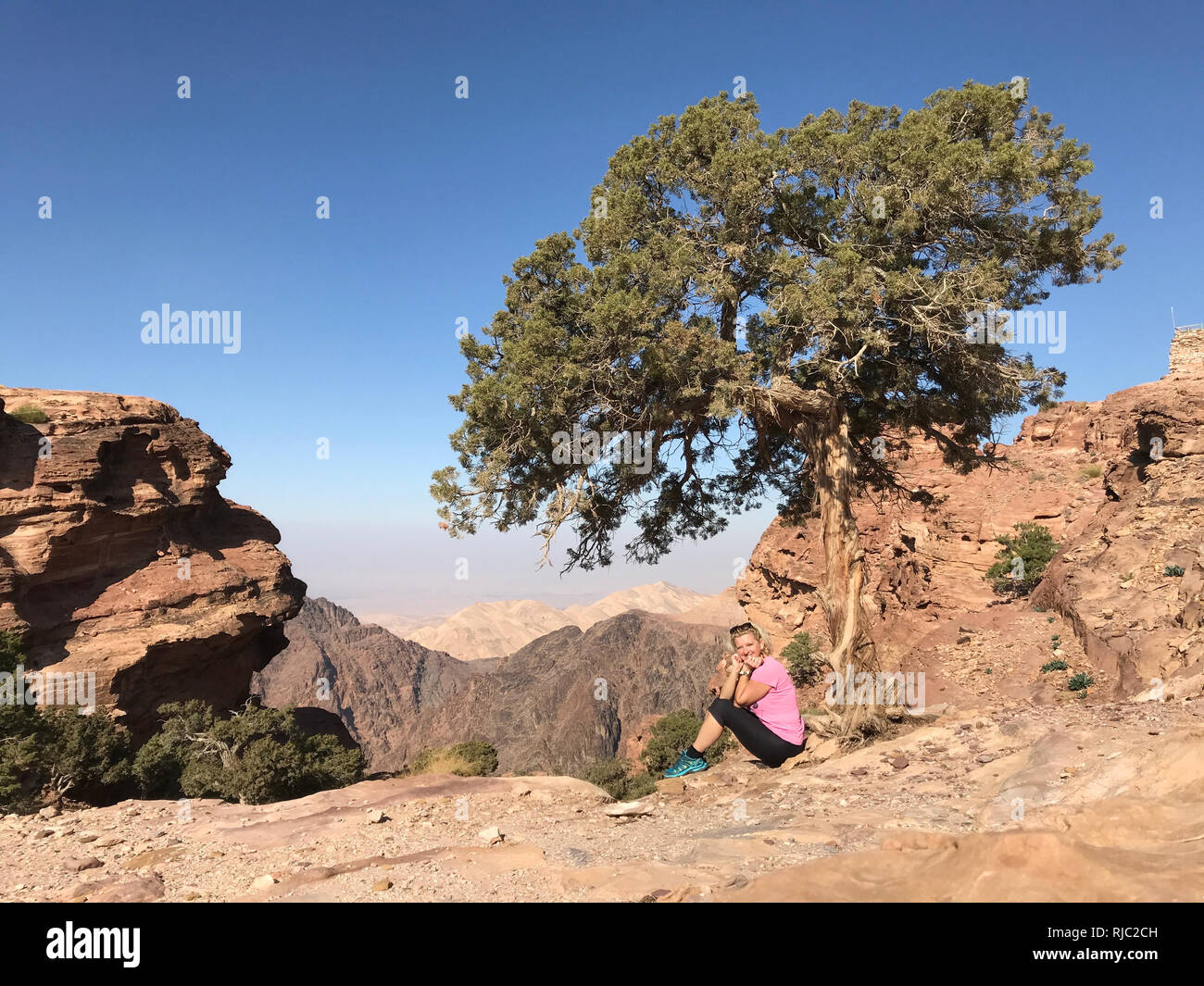 Smiling woman sitting by a tree, Wadi Musa, Jordan Banque D'Images