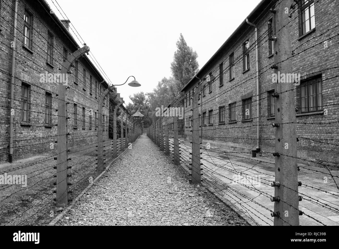 Le camp de concentration d'Auschwitz en Pologne Banque D'Images