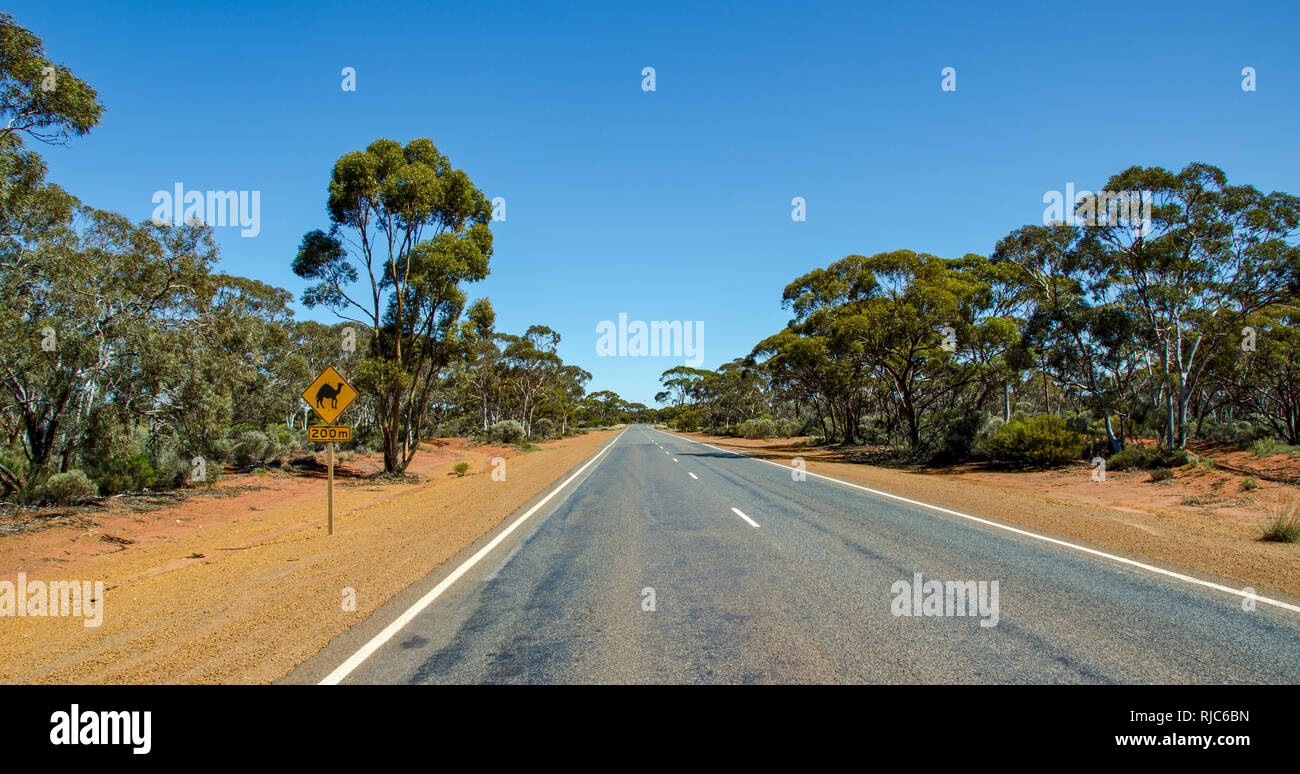 Panneau d'avertissement de chameau par une route dans l'outback, l'Australie occidentale, Australie Banque D'Images